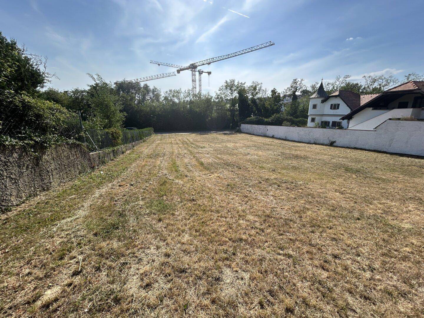 Großes Grundstück mit trockenem Gras und einer weißen Mauer, im Hintergrund sind Baukräne und ein Haus zu sehen.