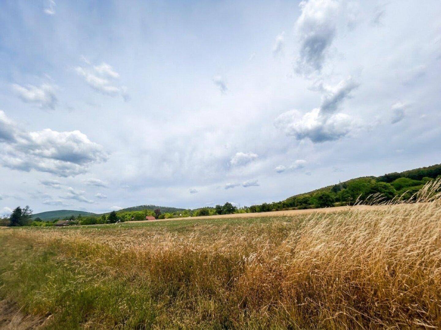 Malerische Landschaft mit goldenen Feldern und bewaldeten Hügeln unter einem weiten Himmel.