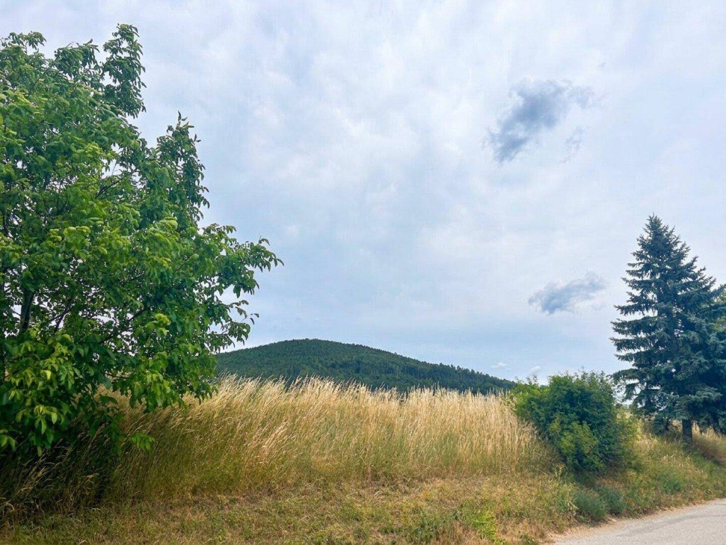 Natürliche Landschaft mit einem bewaldeten Hügel und Bäumen unter einem bewölkten Himmel.