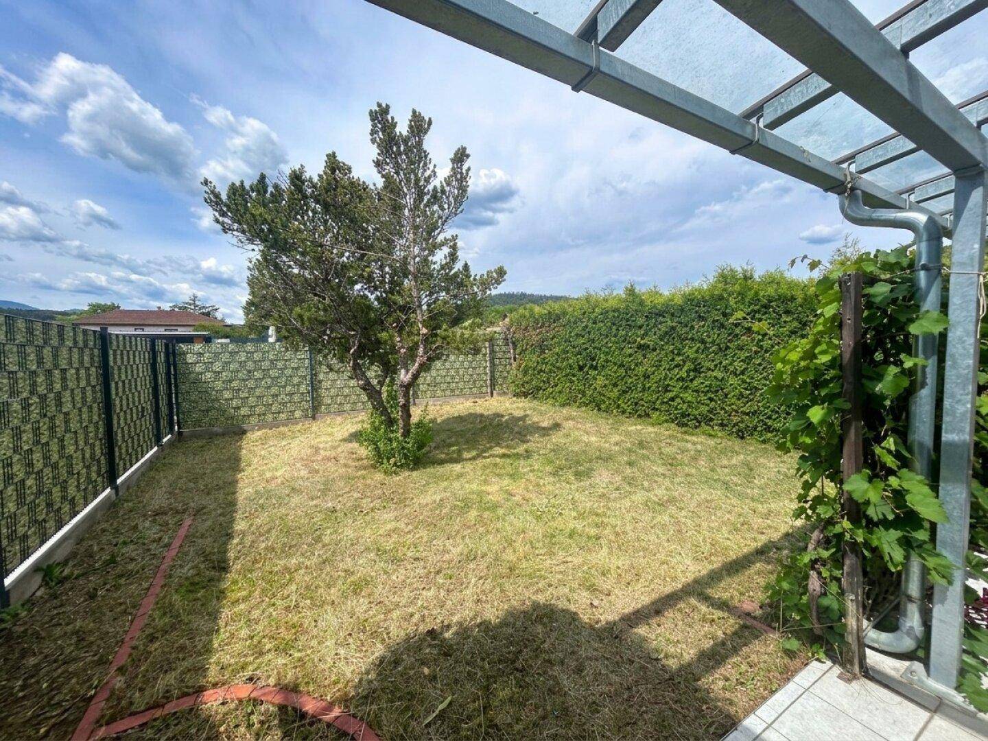 Gepflegter Gartenbereich mit Rasen, einem jungen Baum und der überdachten Terrasse im Vordergrund.