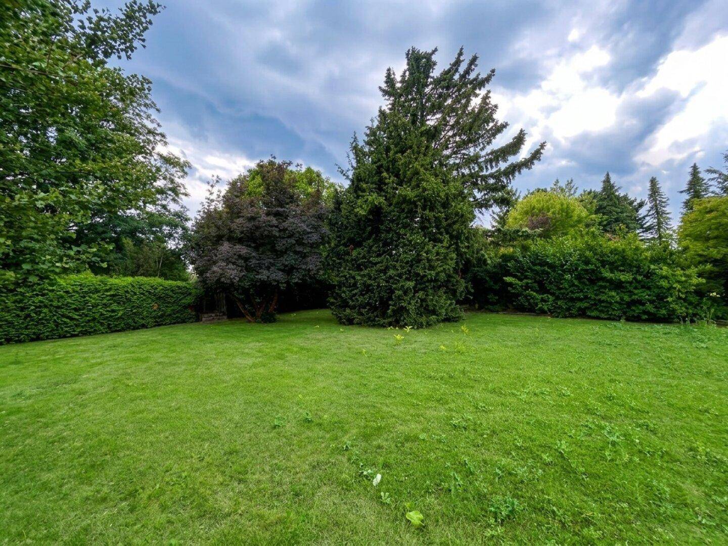 Gepflegte Rasenfläche im Garten mit verschiedenen Bäumen und hohen Hecken unter bewölktem Himmel.