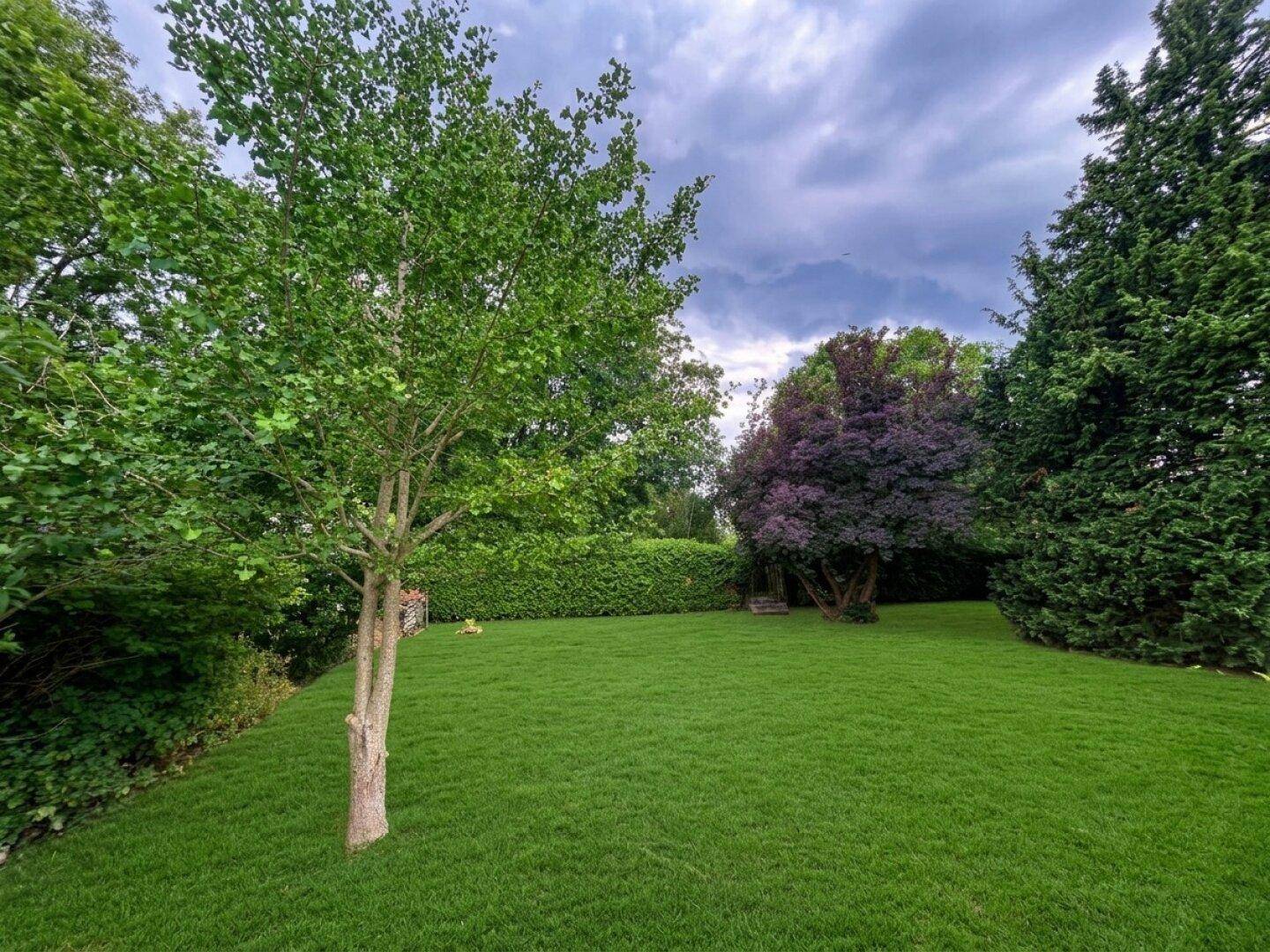 Weitläufiger Gartenbereich mit frisch gemähtem Rasen und altem Baumbestand unter bewölktem Himmel.
