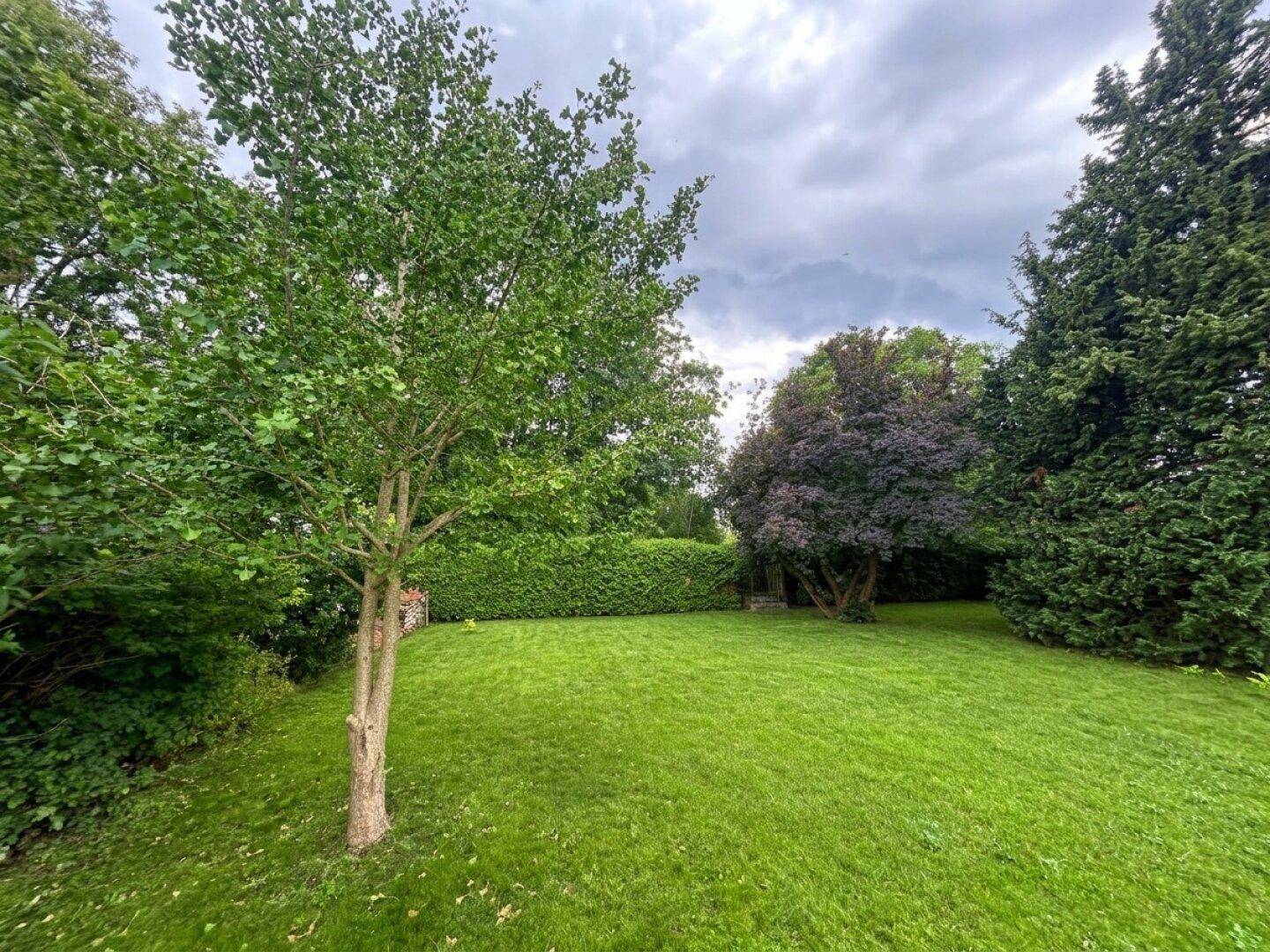 Großer Garten mit üppigem Rasen und verschiedenen Baumarten, die eine grüne Oase bilden.