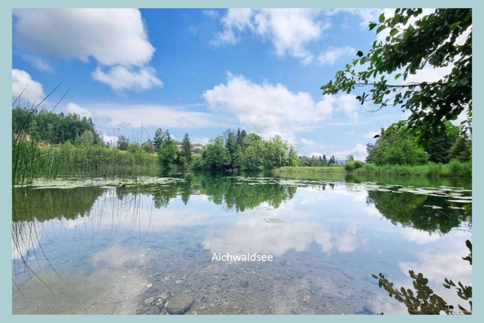 Idyllischer Blick auf den Aichwaldsee mit klarem Wasser und grüner Uferlandschaft.