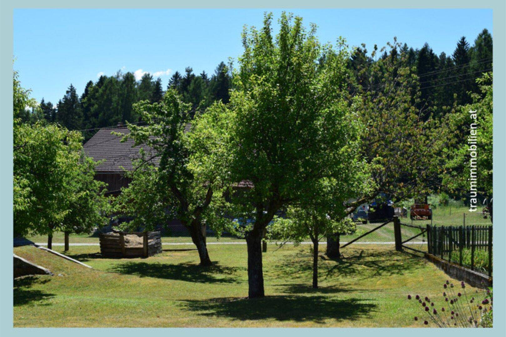 Slide 29