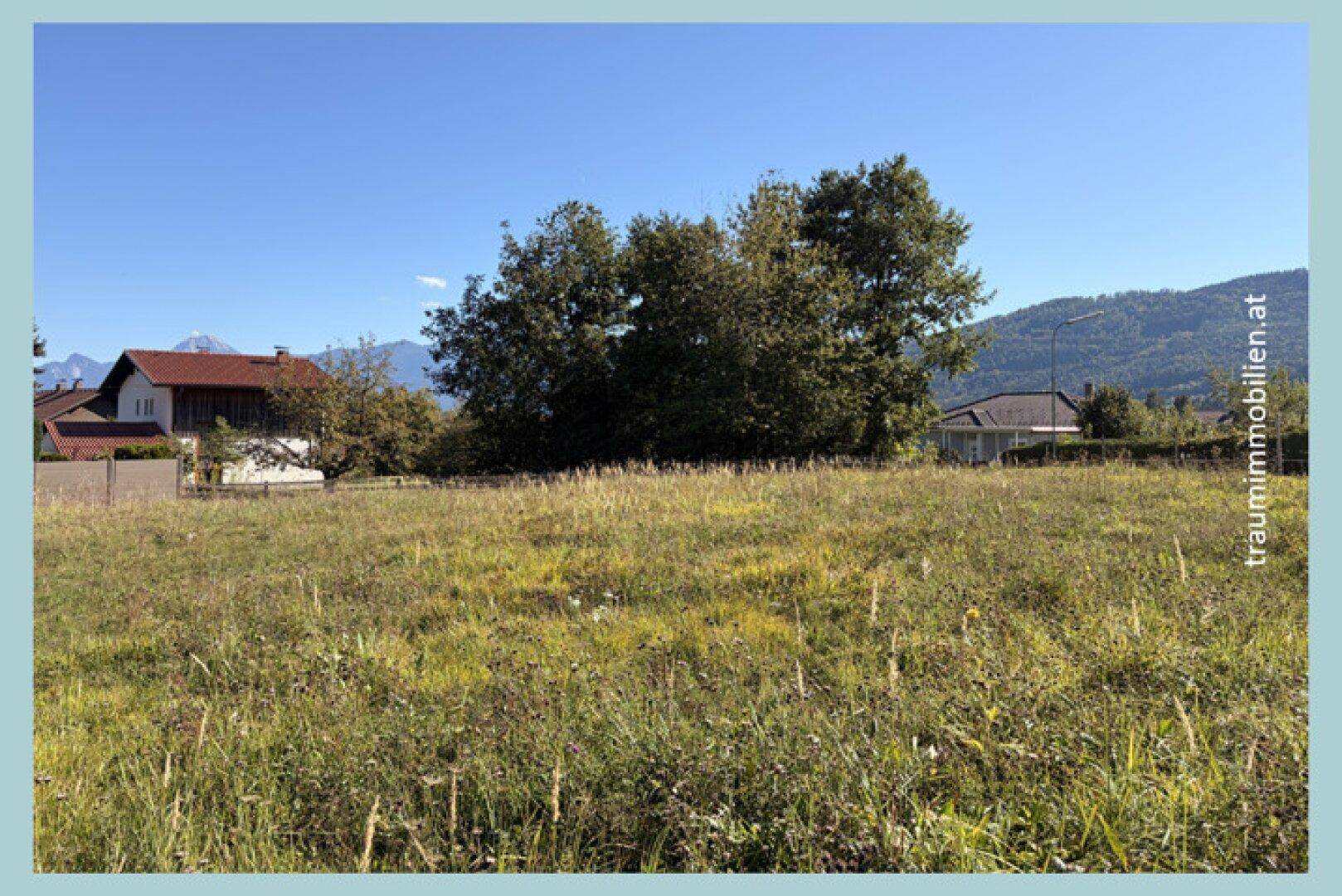 Offenes Wiesengrundstück mit Bäumen im Hintergrund, umgeben von Häusern und einer malerischen Berglandschaft.