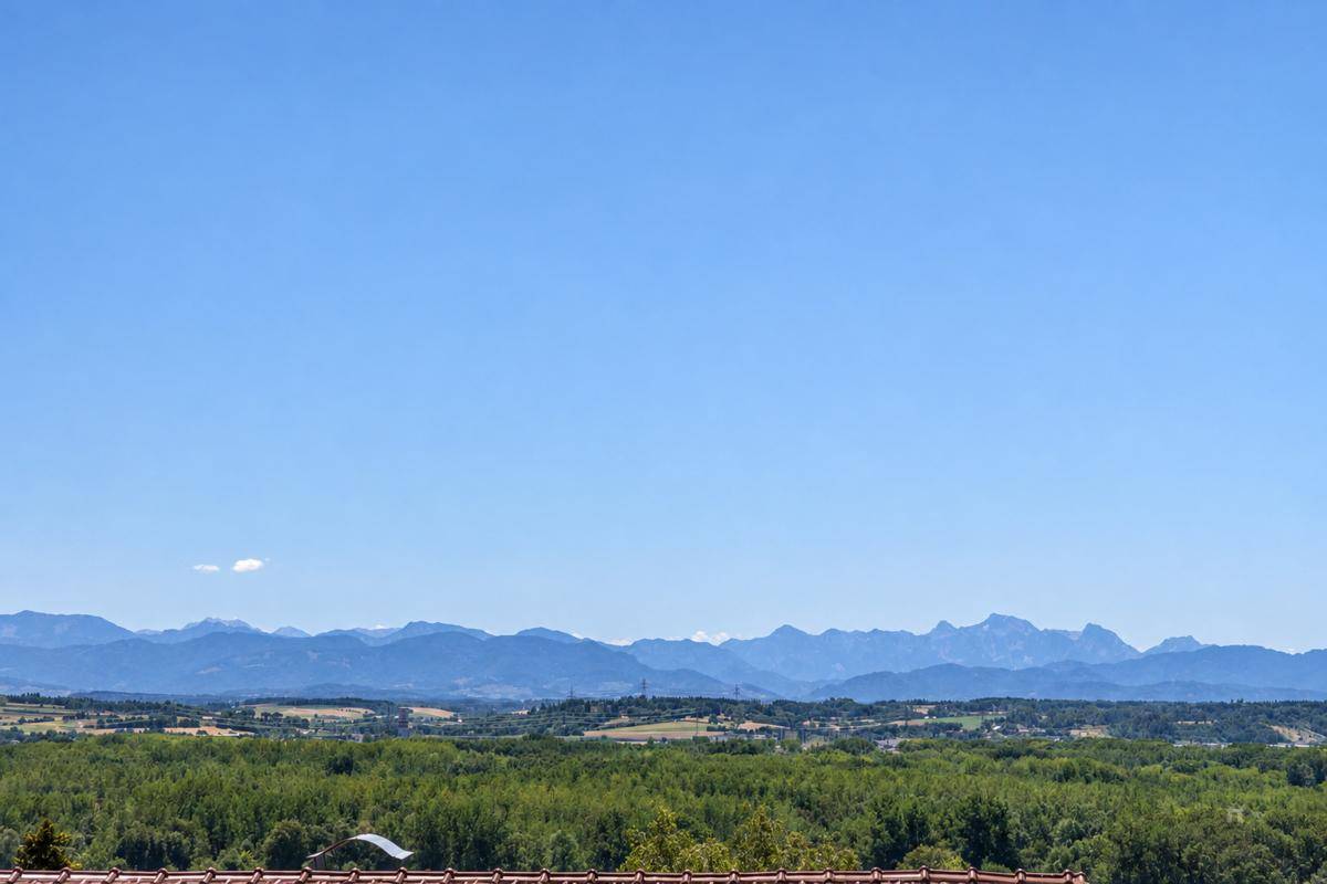 DG Ausblick