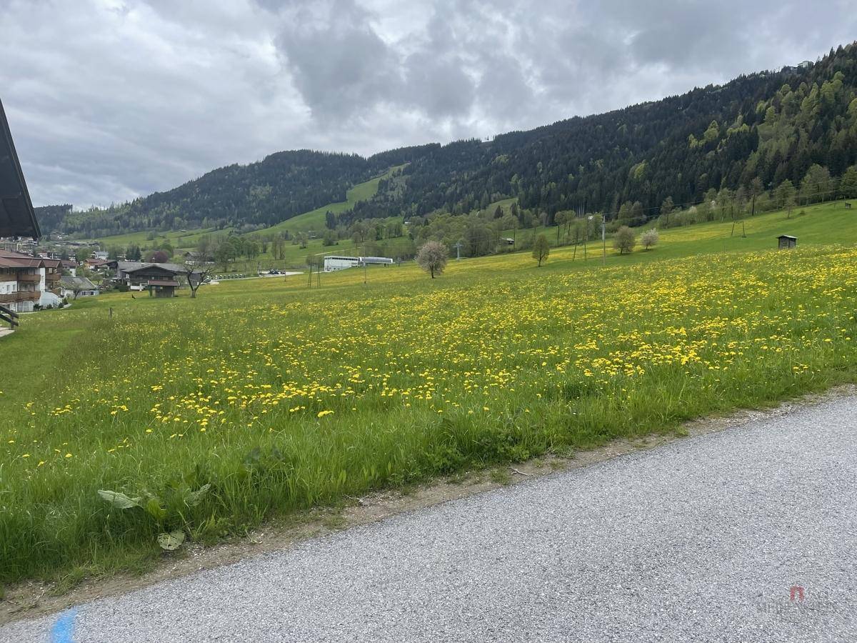 Idyllische Landschaft mit blühender Wiese und Schotterweg, umrahmt von grünen Hügeln.