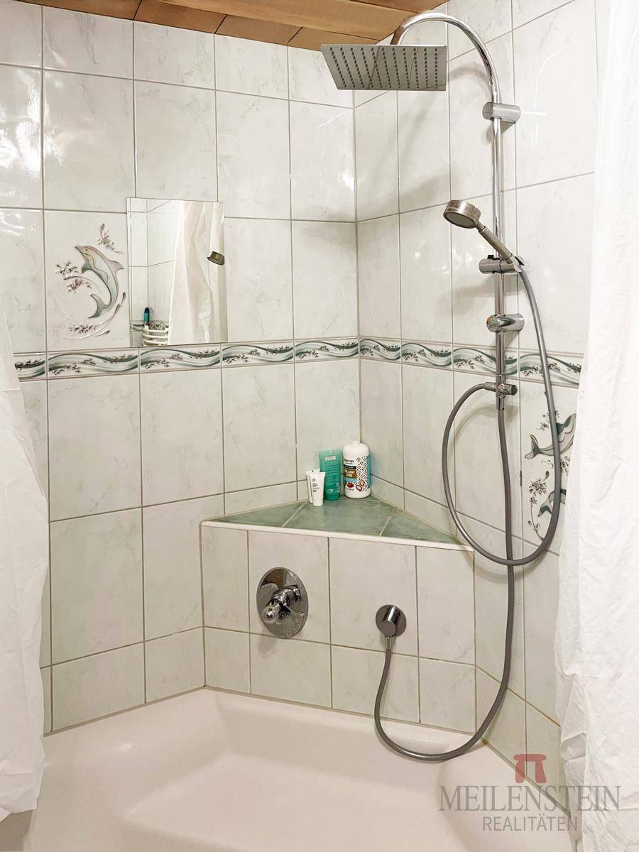 Duschbereich im Badezimmer mit Regendusche und Handbrause über der Badewanne.