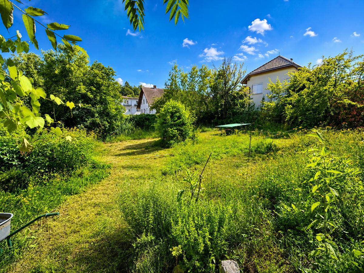 Großer, naturbelassener Gartenbereich mit viel Grün, Rasenfläche und Baumbestand unter blauem Himmel.