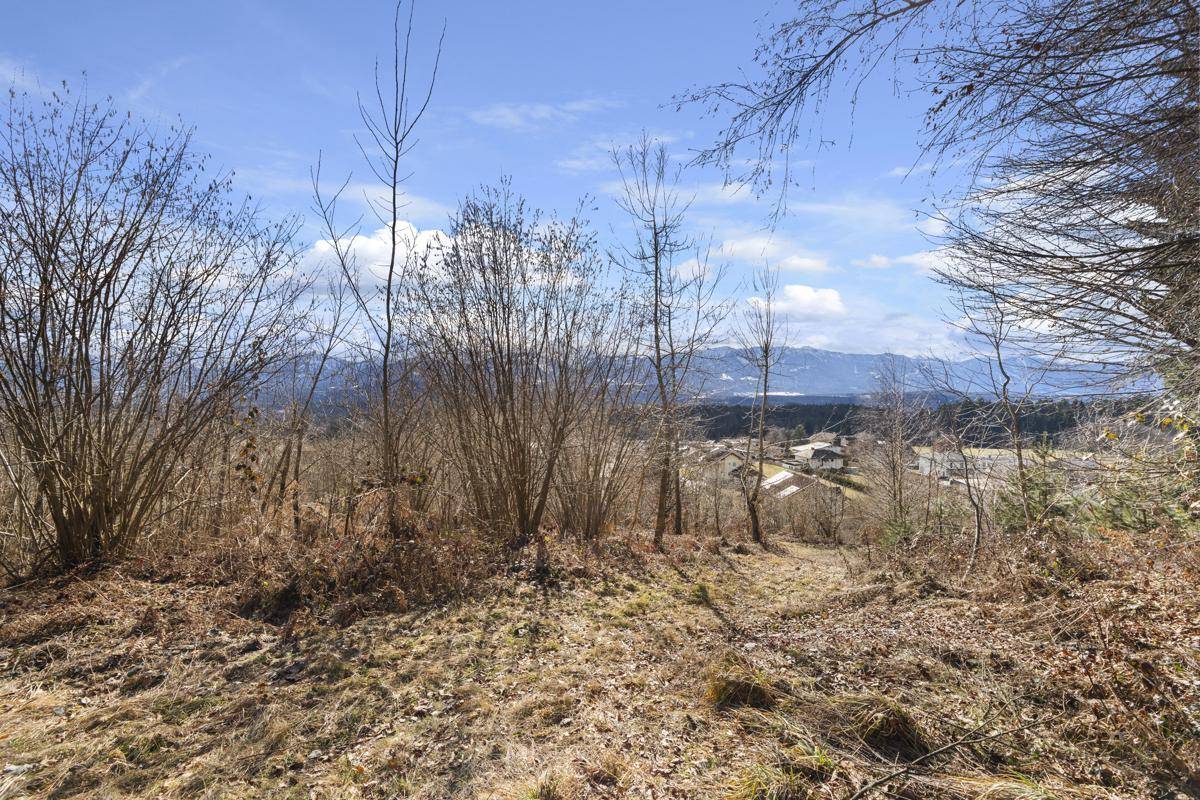 Ihr Logenplatz in der Natur – Baugrundstück mit spektakulärer Aussicht &amp; Waldrandlage - Ansicht 4