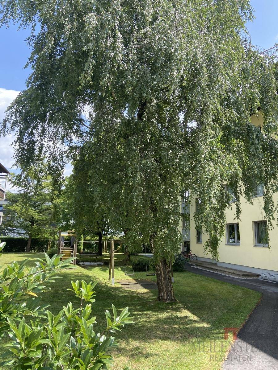 Gemeinschaftsgarten mit Spielplatzgeräten und schattenspendenden Bäumen, perfekt für Familien mit Kindern.