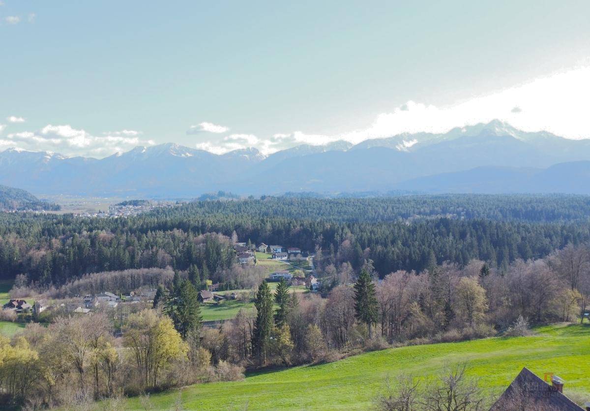 Weitläufige Landschaft mit dichten Wäldern, vereinzelten Häusern und majestätischen Bergen im Hintergrund unter blauem Himmel.