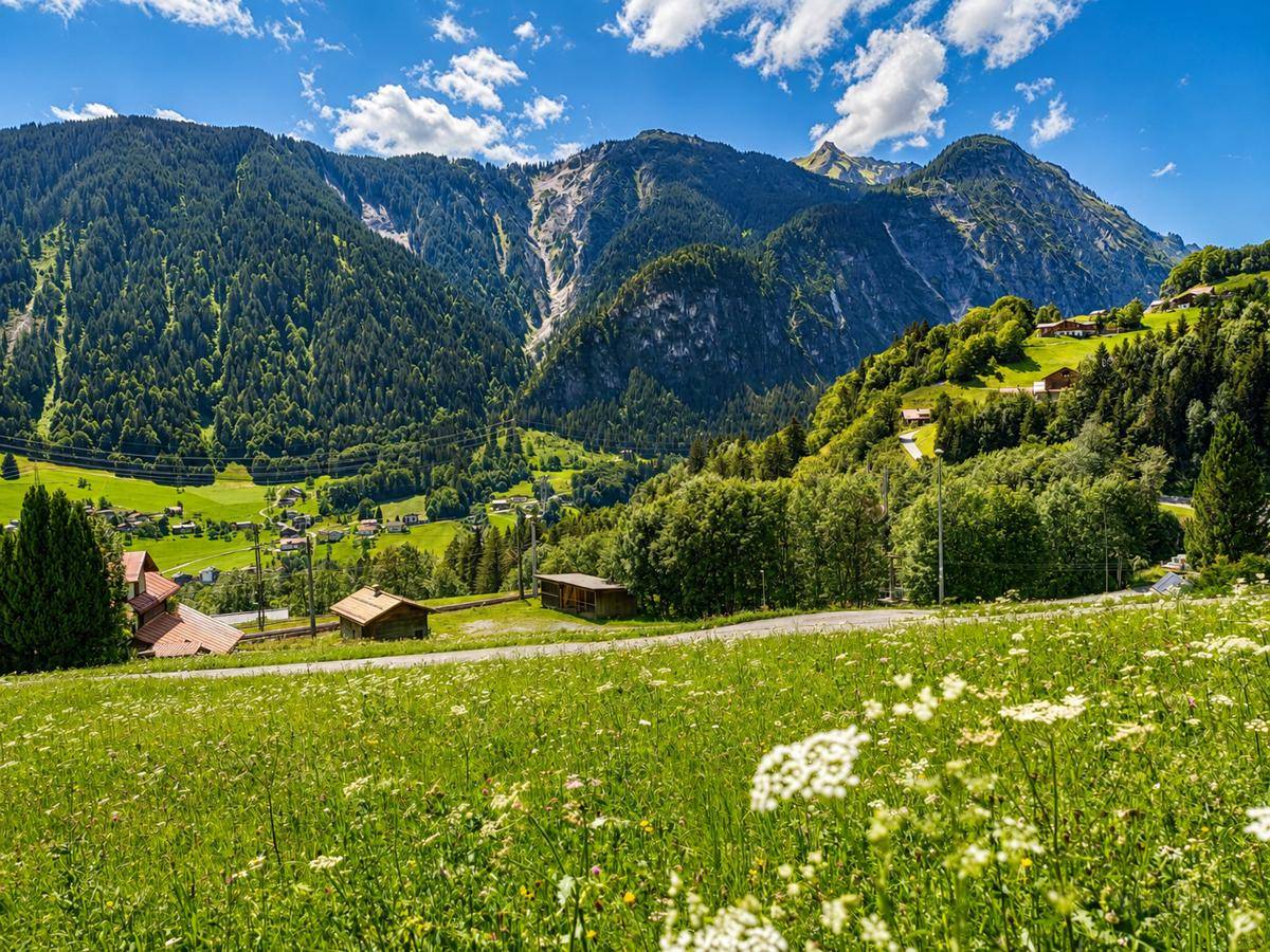 Panoramablick auf eine weite alpine Landschaft mit grünen Tälern, bewaldeten Hängen und majestätischen Bergen.