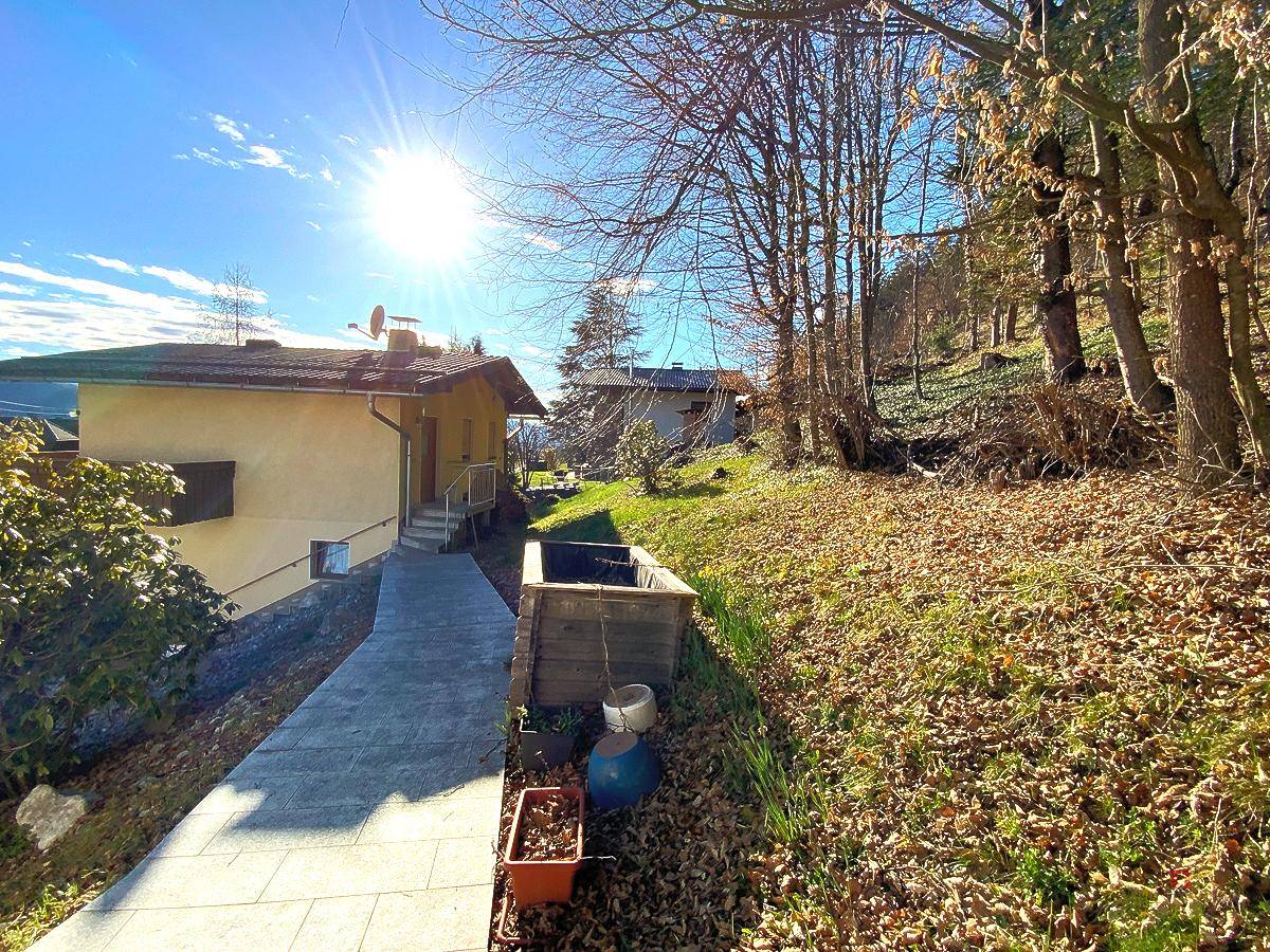 Gartenweg entlang des Hauses mit Bäumen und natürlicher Vegetation.