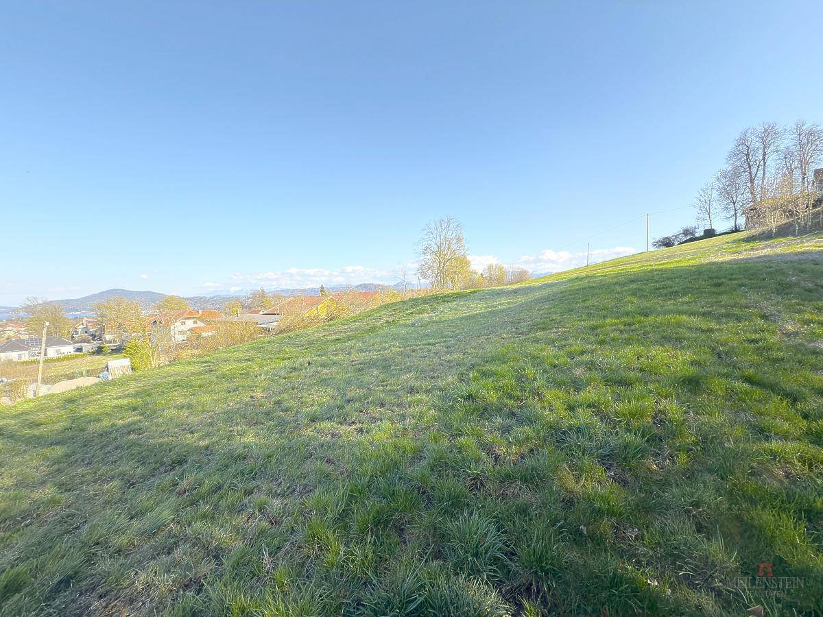 Grüne Wiese auf einem Hang mit Blick auf die umliegende Bebauung und einen See in der Ferne.