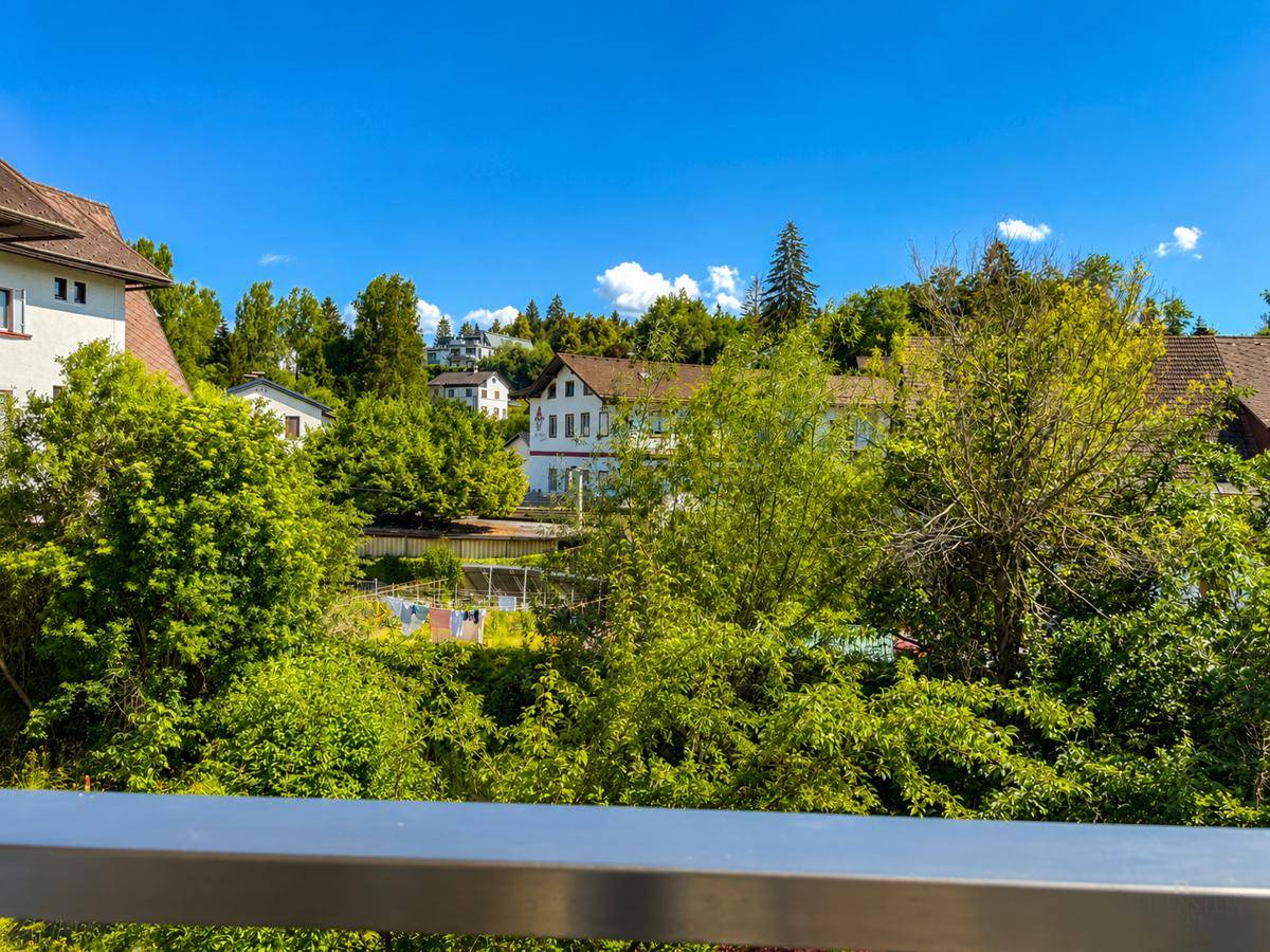 Weitläufiger Blick über grüne Bäume und Dächer der umliegenden Häuser an einem sonnigen Tag.