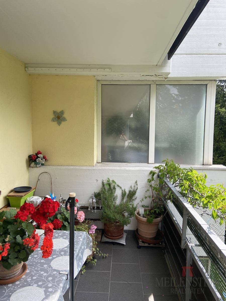 Heller Balkon mit Blumen und einem Fenster, das Tageslicht in den Innenraum lässt, ideal für Pflanzenliebhaber.