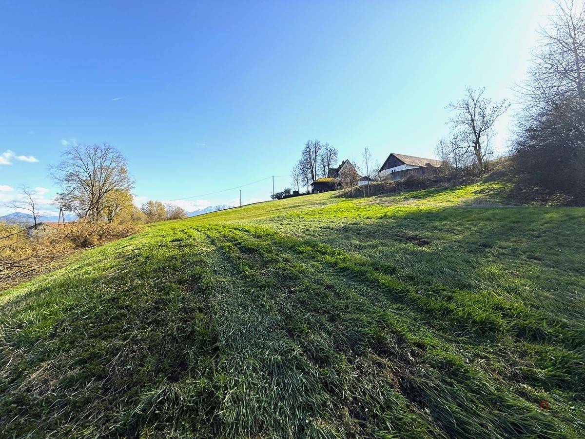 Grüne Wiese auf einem sonnigen Hügel mit einem Haus in der Ferne und klarem blauem Himmel.