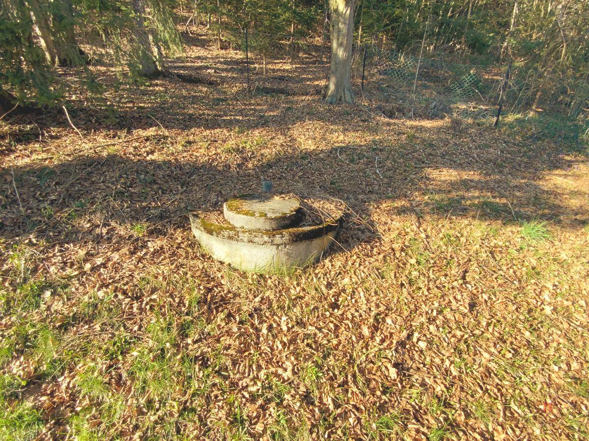 Betonring im Waldboden, umgeben von Laub und Bäumen.