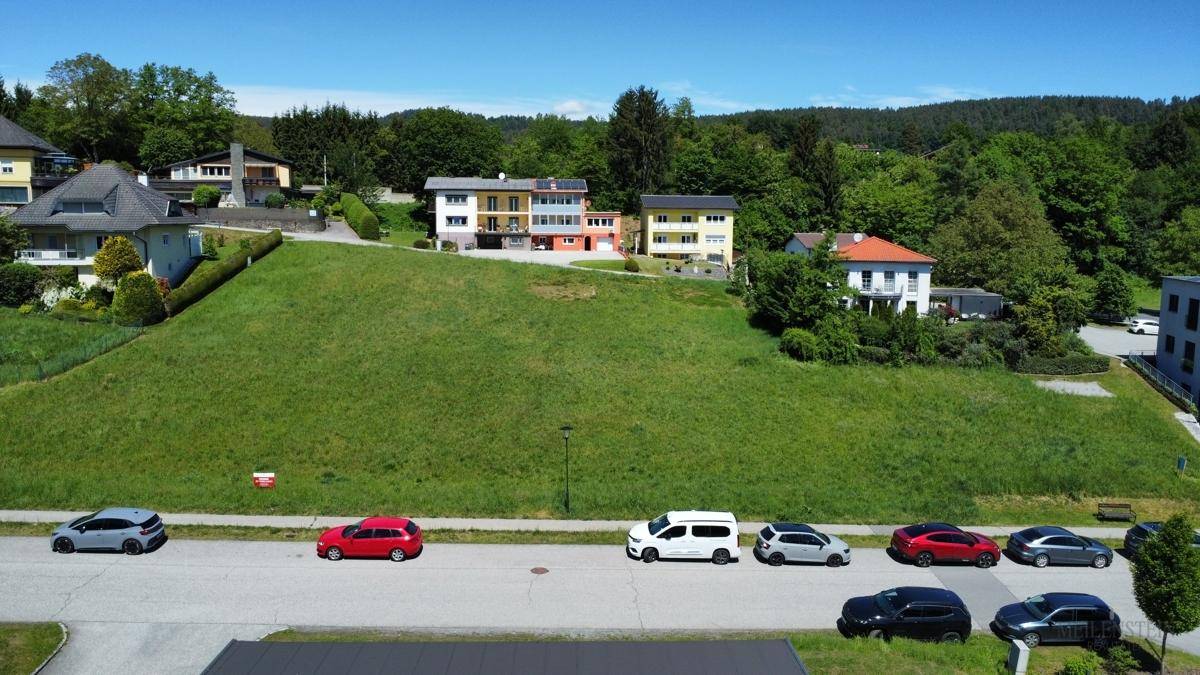 Ansicht eines großen grünen Grundstücks von der Straße aus, mit Wohnhäusern am Hang und geparkten Fahrzeugen davor.