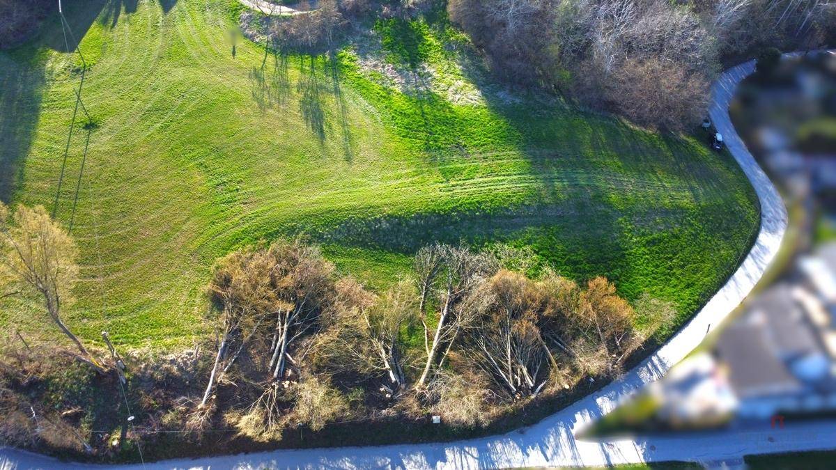 Luftaufnahme eines weitläufigen grünen Grundstücks mit Bäumen und einem angrenzenden Weg unter hellem Sonnenlicht.