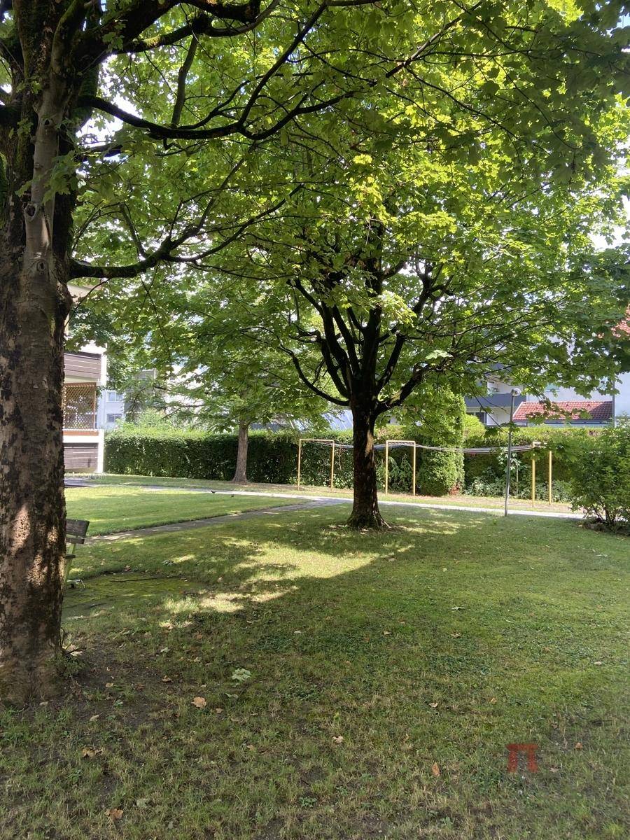 Gepflegte Grünfläche mit altem Baumbestand und einer Sitzbank, ideal zur Erholung im Freien.
