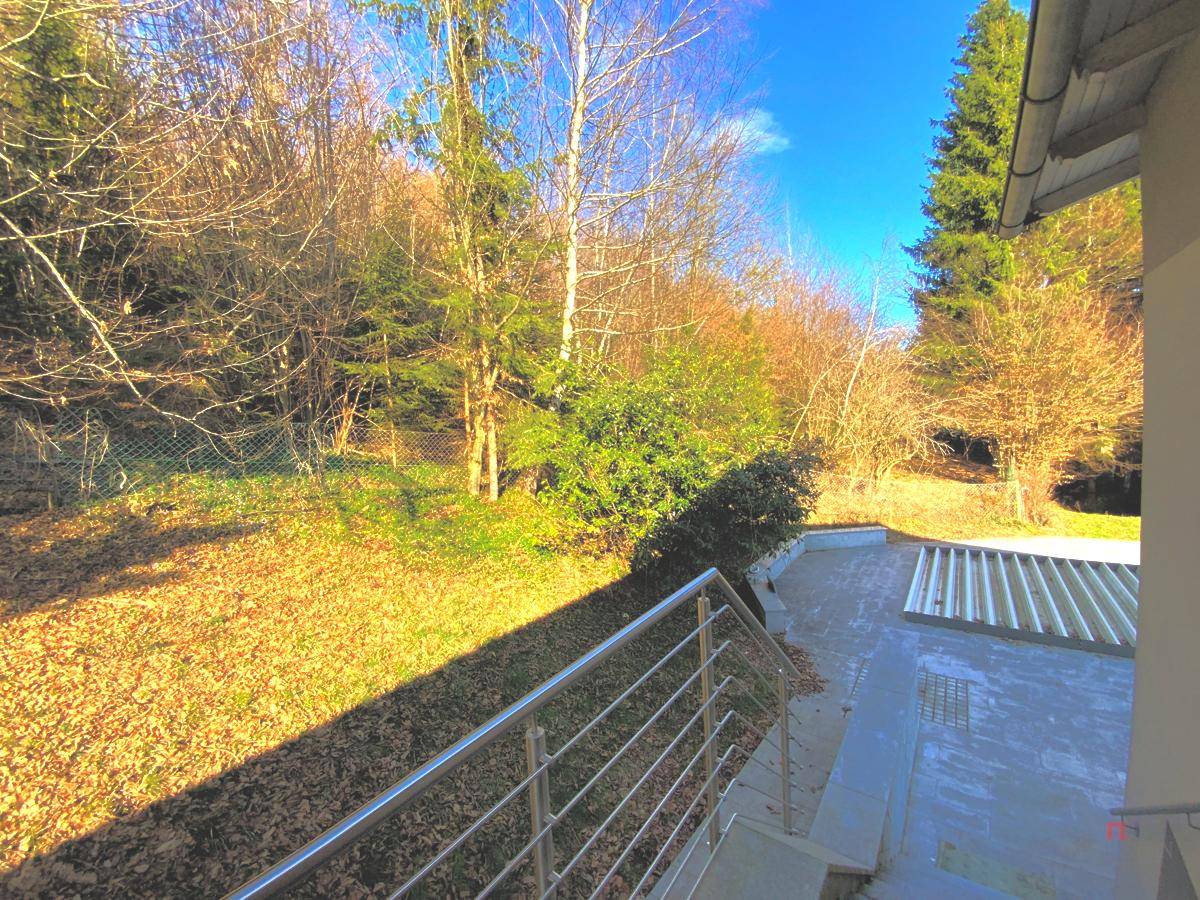 Gartenbereich mit Treppe, Rasenfläche und Bäumen im Hintergrund unter blauem Himmel.