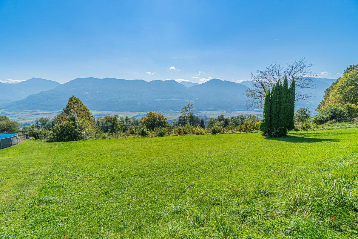 Sonnige Wiese mit hohen Bäumen und einem weiten Panoramablick auf die umliegende Natur.