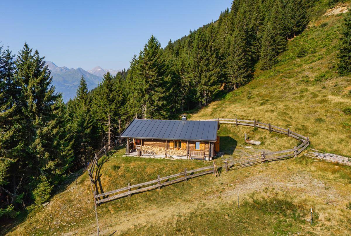 Idyllische Holzhütte mit Holzstapel und weitem Blick auf die alpine Landschaft unter blauem Himmel.