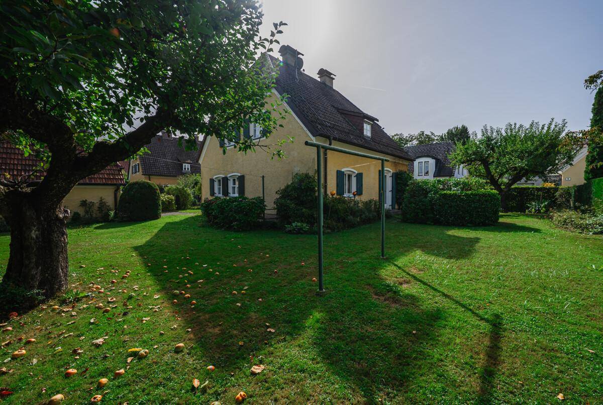 Großer, sonniger Garten mit Rasenfläche, Obstbäumen und Wäscheleine.