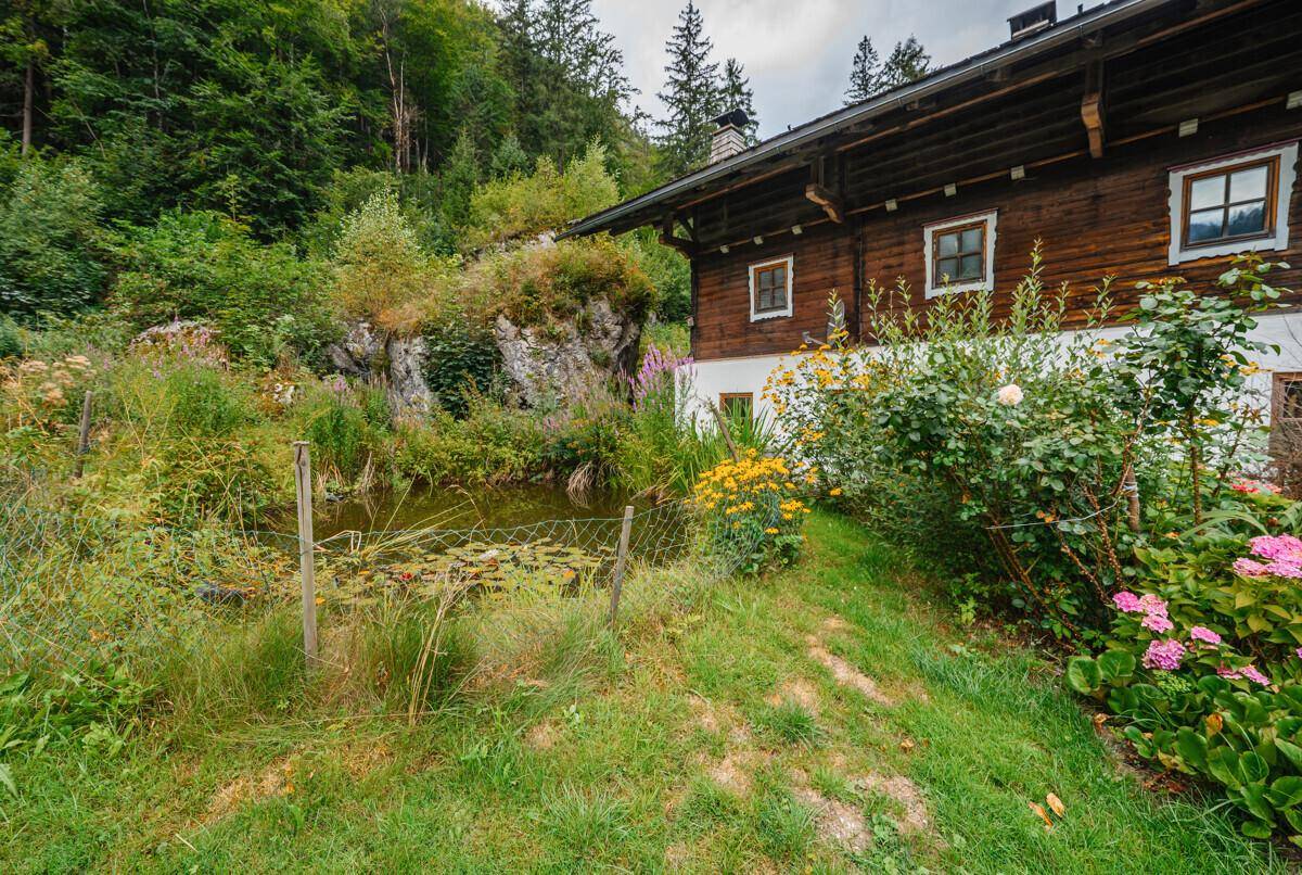 Naturnaher Gartenbereich mit einem kleinen Teich und vielfältiger Bepflanzung am Haus.