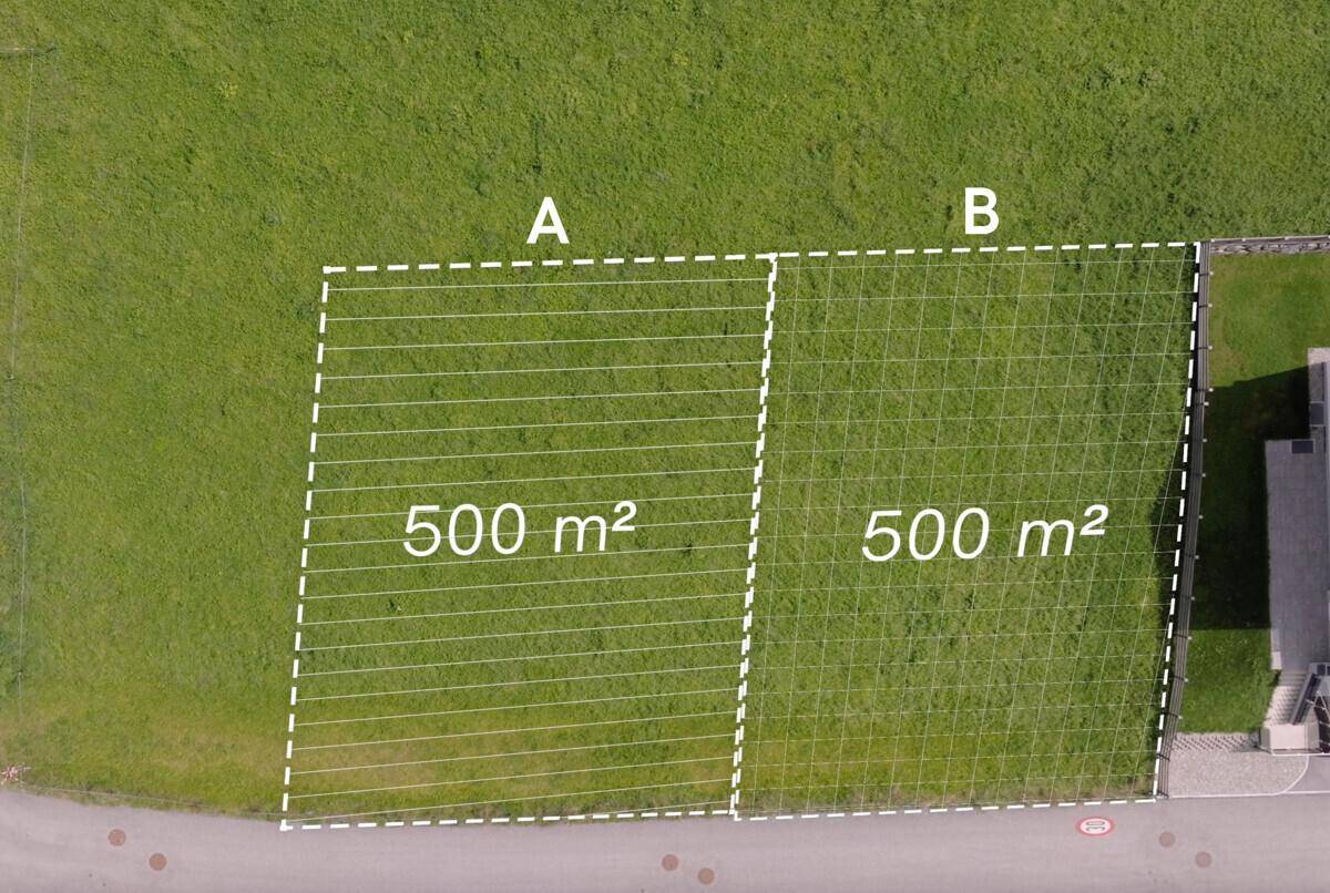 Nahaufnahme aus der Vogelperspektive von zwei markierten Baugrundstücken mit jeweils 500 m² Fläche.