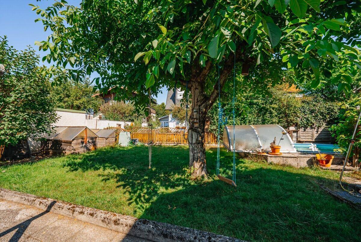 Grüner Garten mit Schaukel unter einem Baum, umgeben von Hecken und kleinen Gewächshäusern.