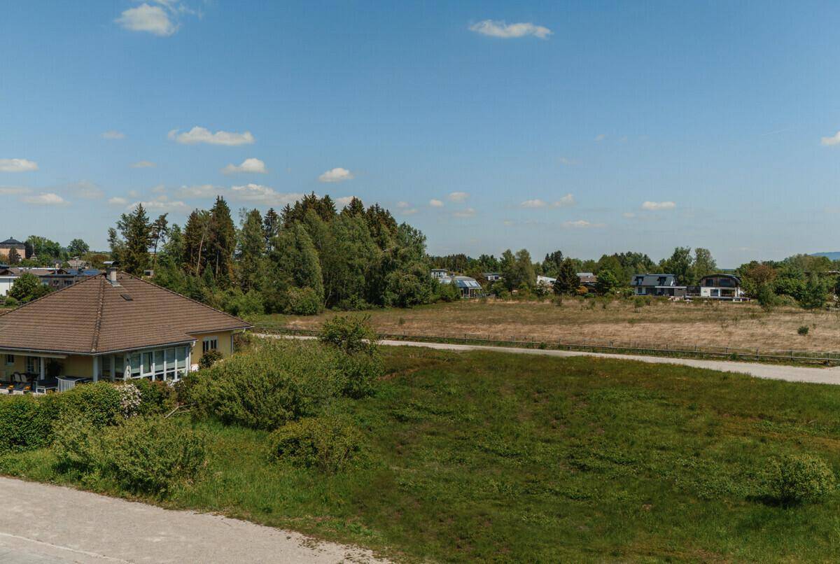 Blick über weite Felder und Wälder mit vereinzelten Häusern am Horizont an einem sonnigen Tag.