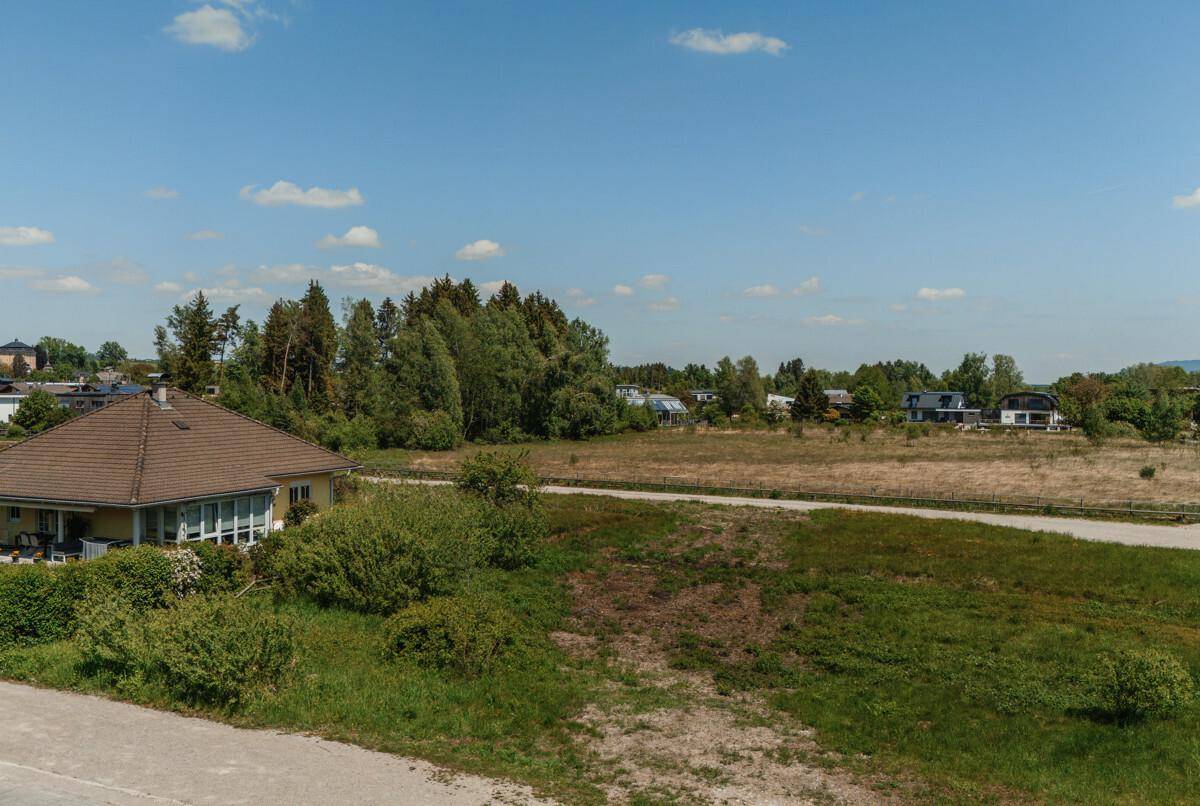 20250513-DJI_20250513125315_0322_D-Verbessert-RR-SJ Photography (Selina Jakob)