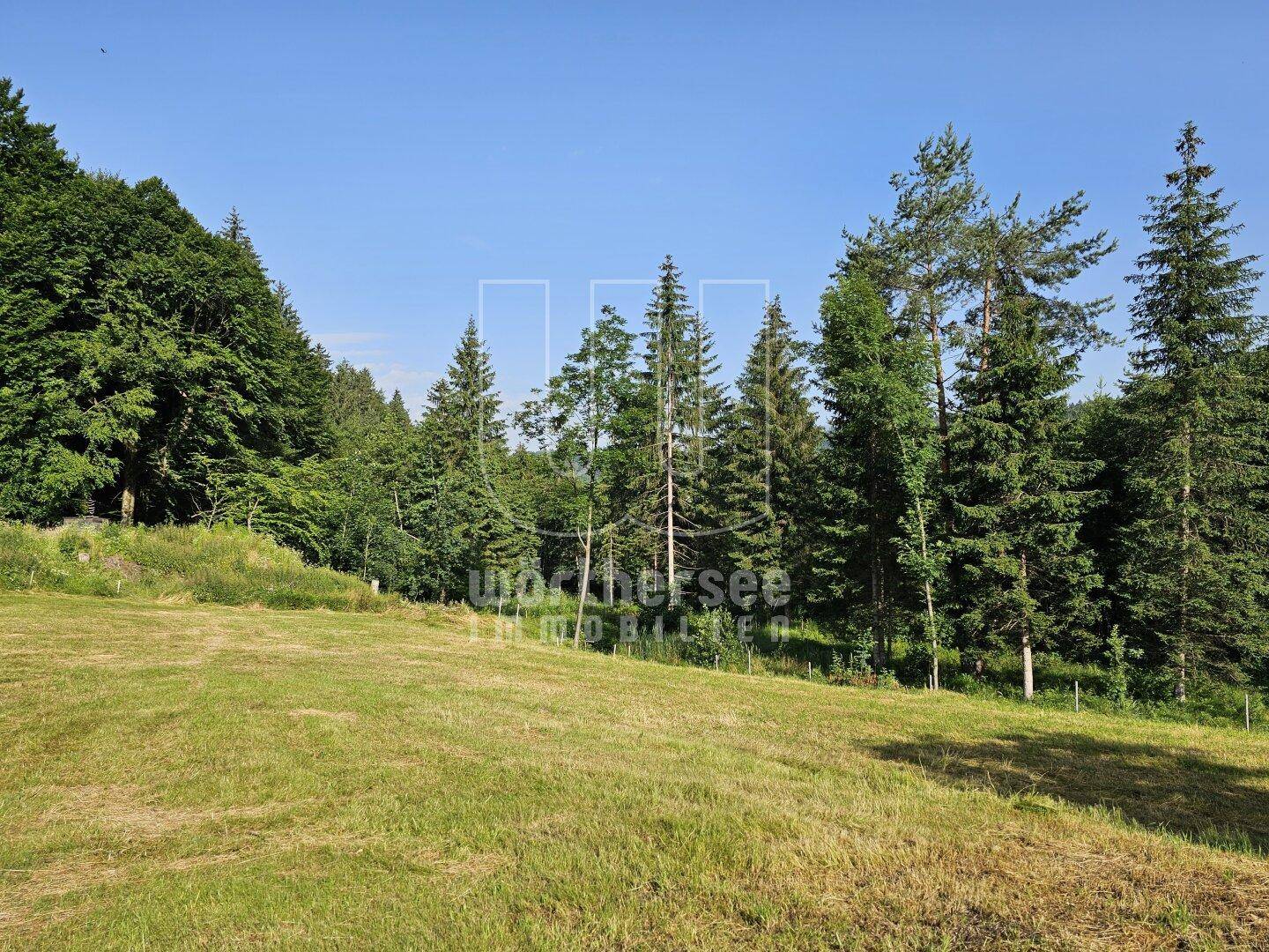 dahinter liegt der Saissersee - 1 Gehminute