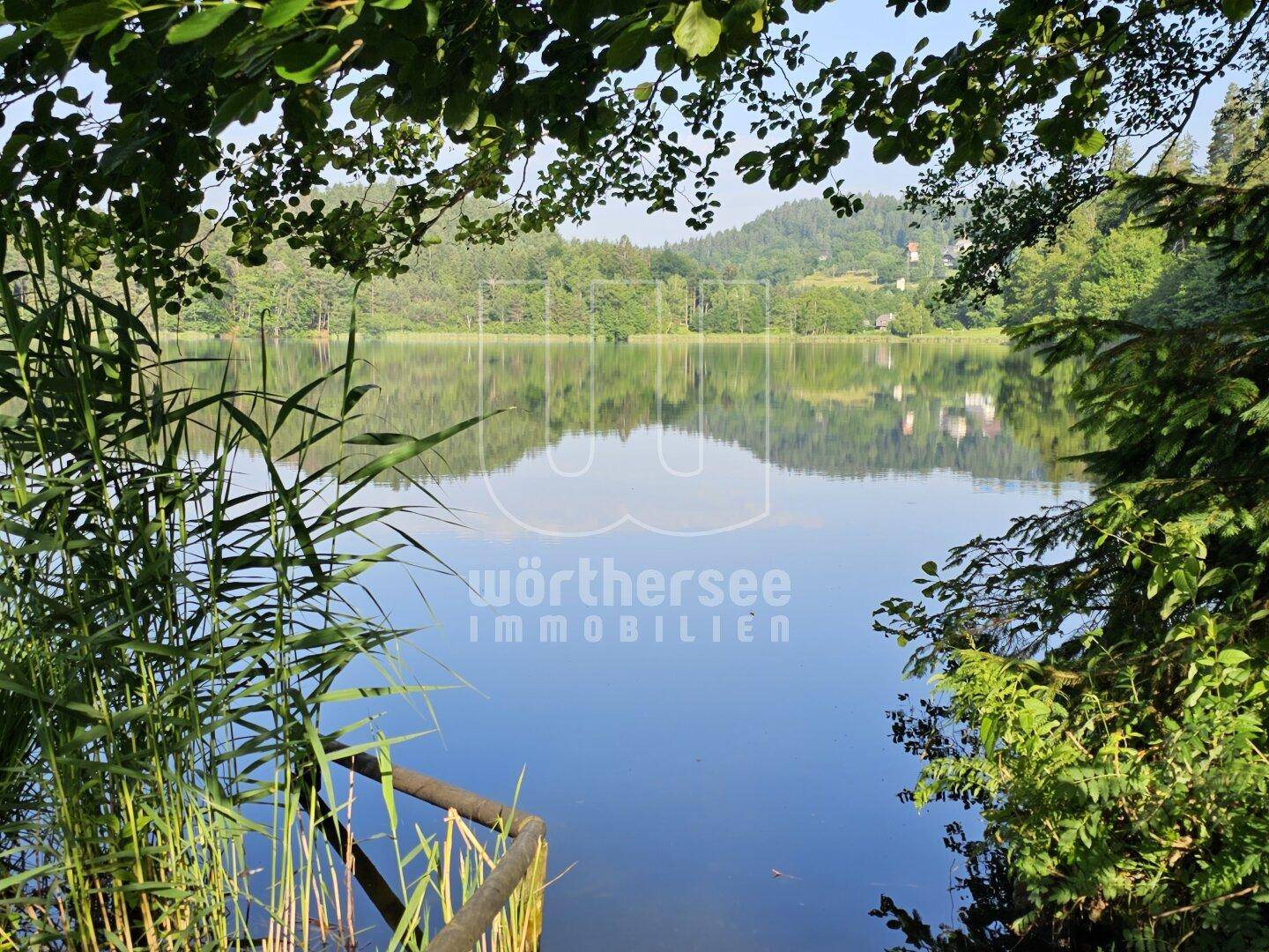 Natur-Idylle pur am Saissersee