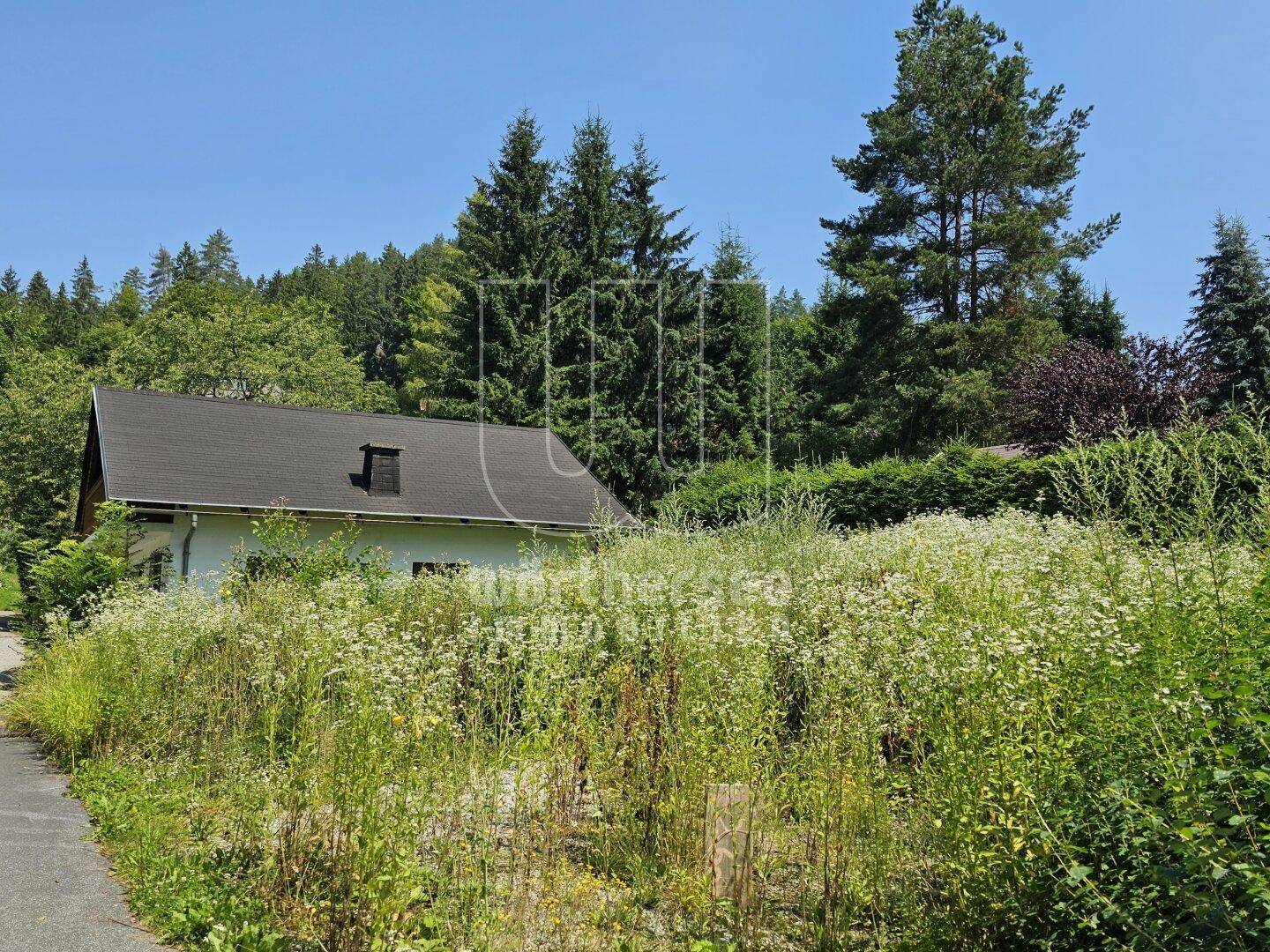 hier sollte das Carport errichtet werden