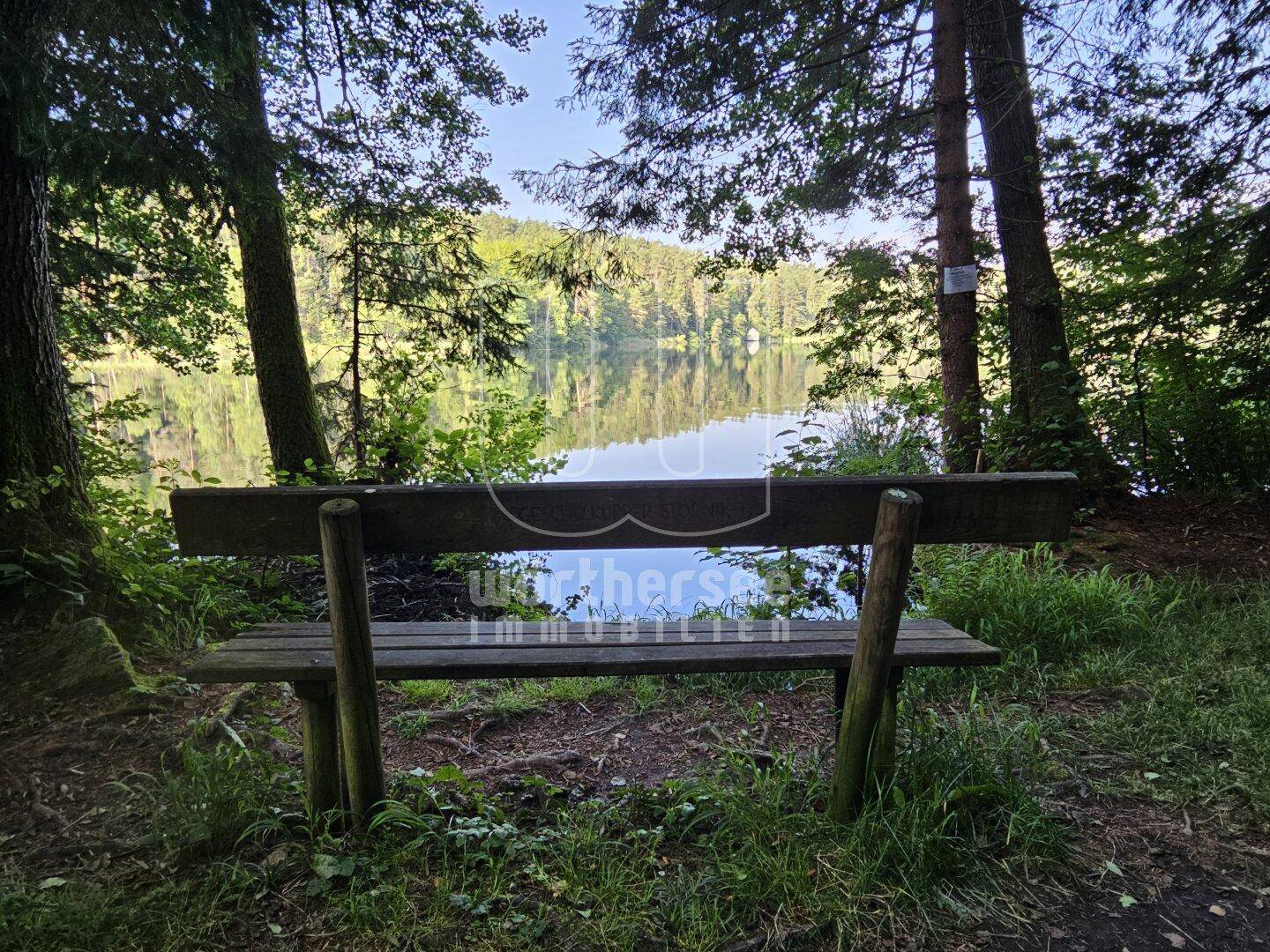 der Ruheplatz im Schatten am Saissersee