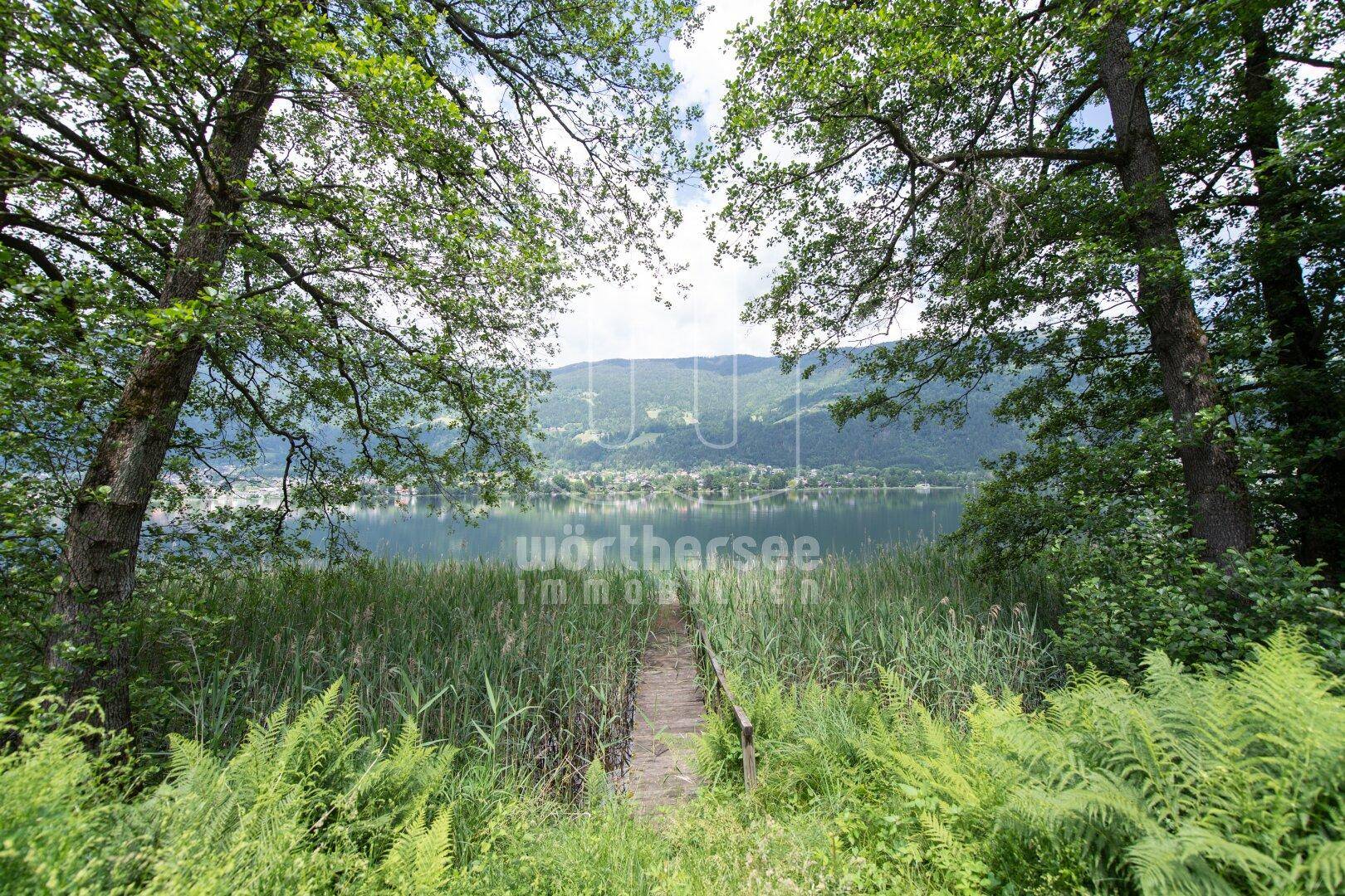 der Blick vom Baugrundstück auf den See