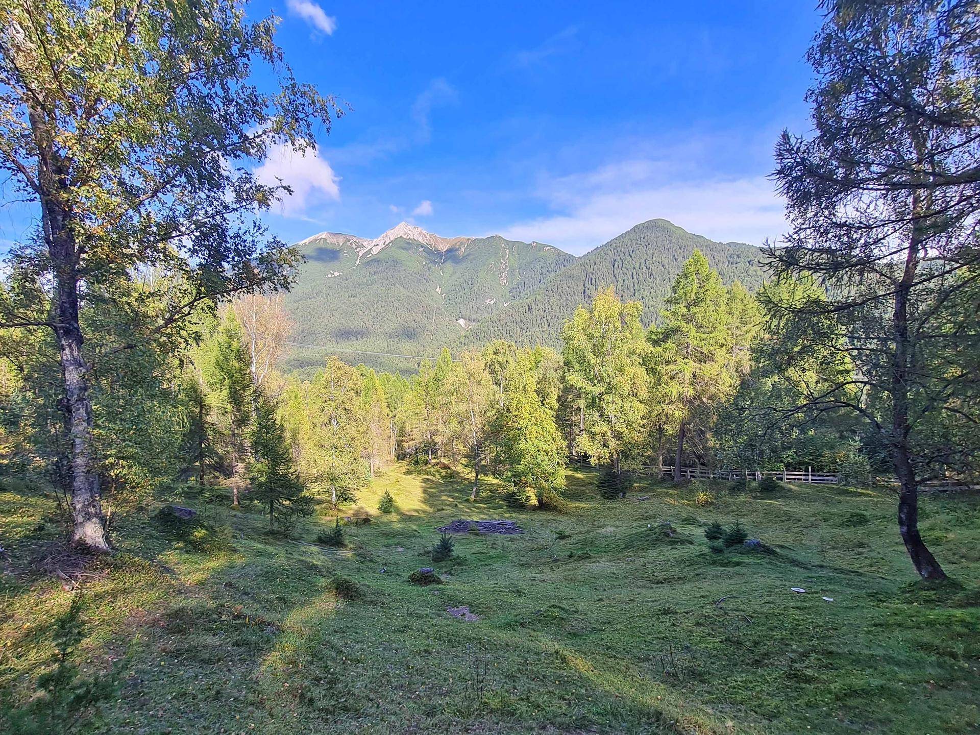 Weitläufige grüne Landschaft mit Bäumen und majestätischen Bergen im Hintergrund unter blauem Himmel.