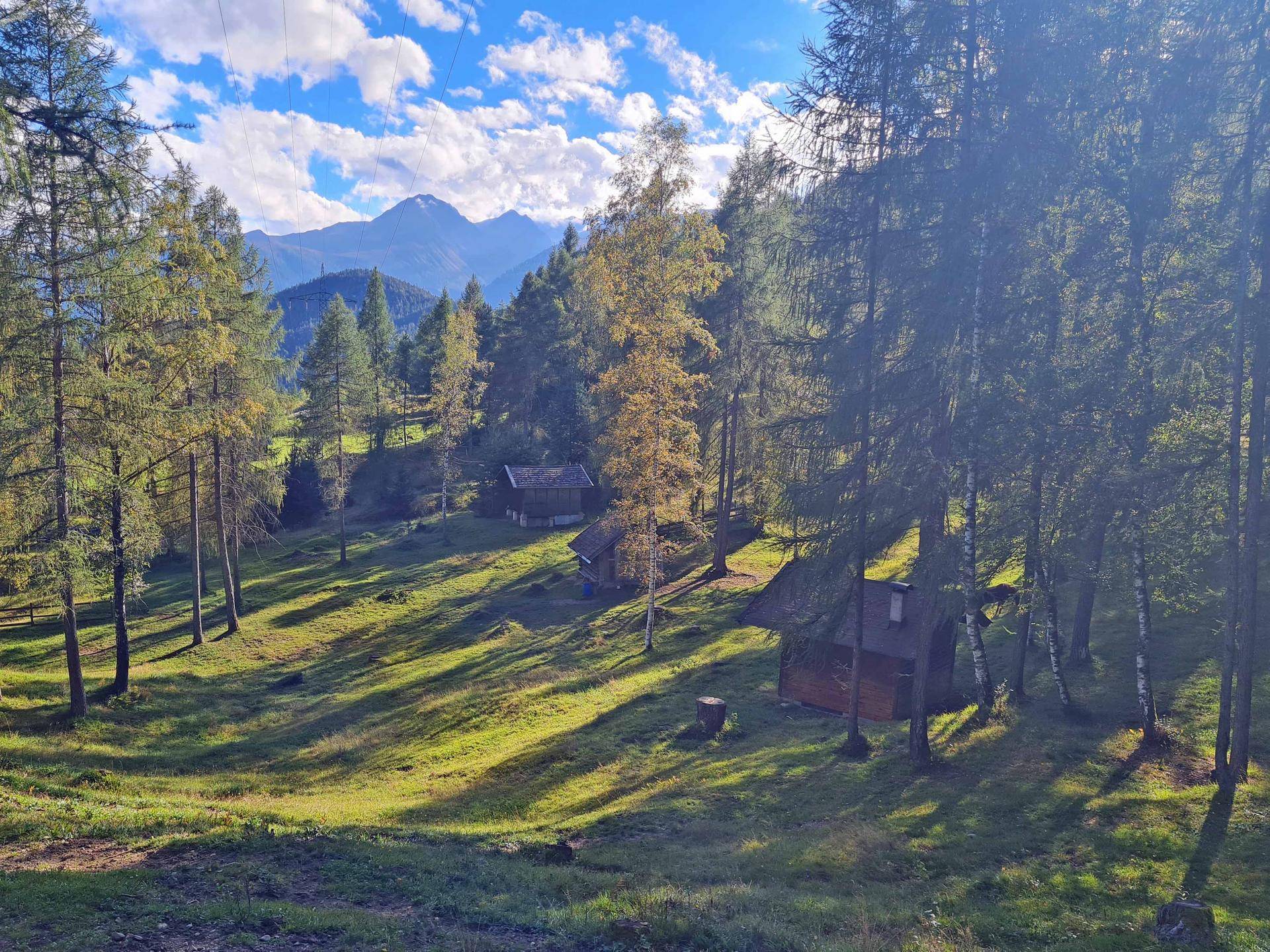 Waldlichtung mit kleinen Holzhütten und einem weiten Blick auf die Berglandschaft unter blauem Himmel.
