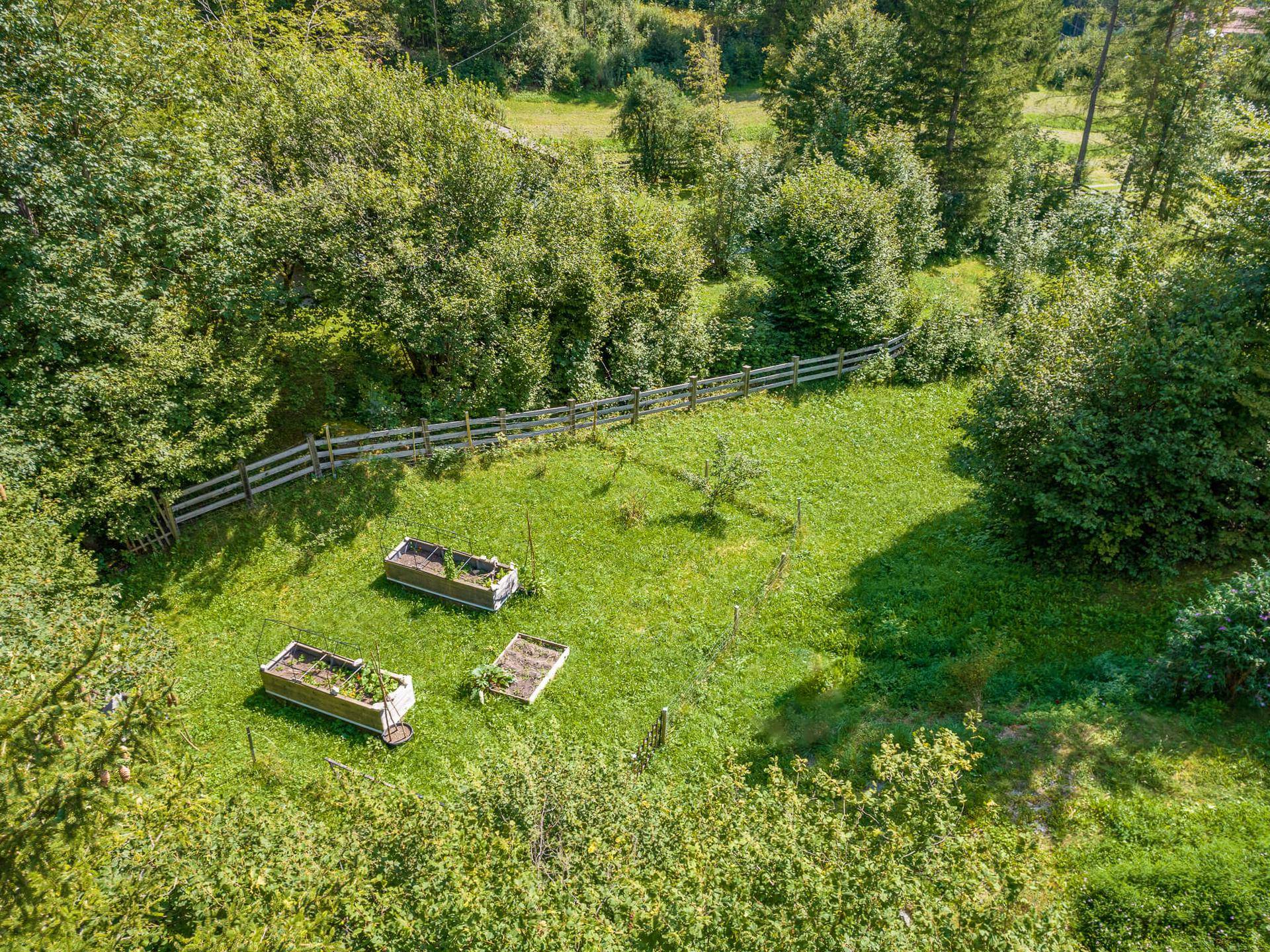 Gepflegte Gartenfläche mit Hochbeeten und Holzzaun, umgeben von üppigem Grün.