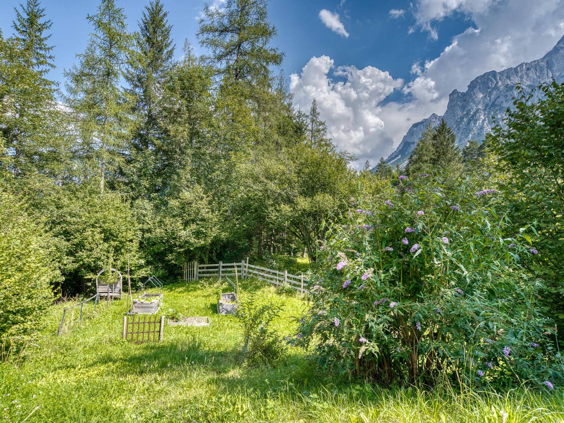Grüne Gartenfläche mit kleinen Beeten und Holzzaun, umgeben von Bäumen und Bergblick.