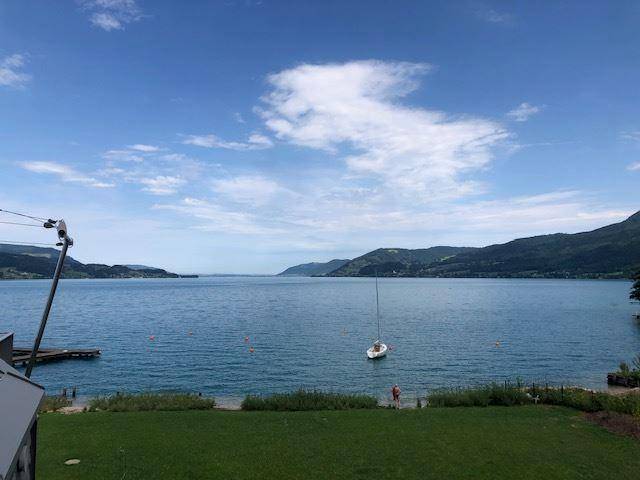 Weitläufiger Blick auf den blauen See mit Segelboot und grünen Ufern unter blauem Himmel.
