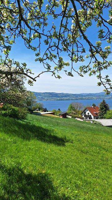 Baugrundstücke in Weyregg am Attersee mit Seeblick - Vista 3