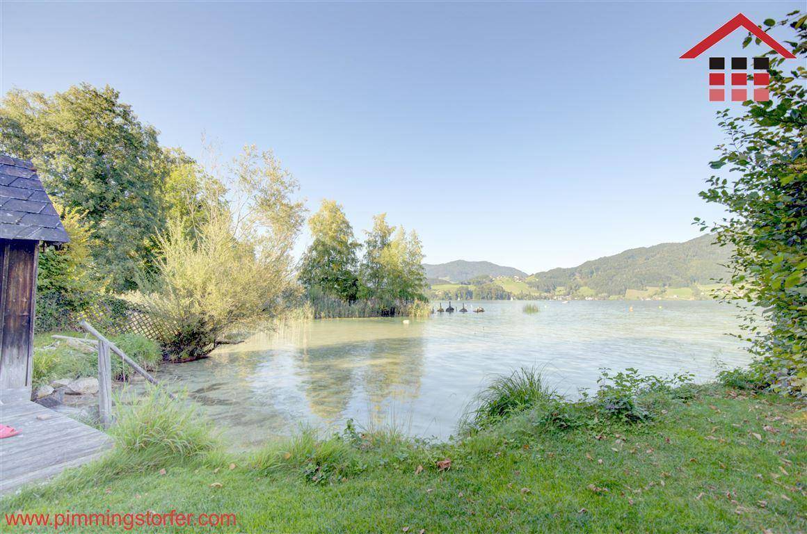 Malerischer Seeblick von einem grünen Gartenbereich mit kleinem Steg und üppiger Vegetation.
