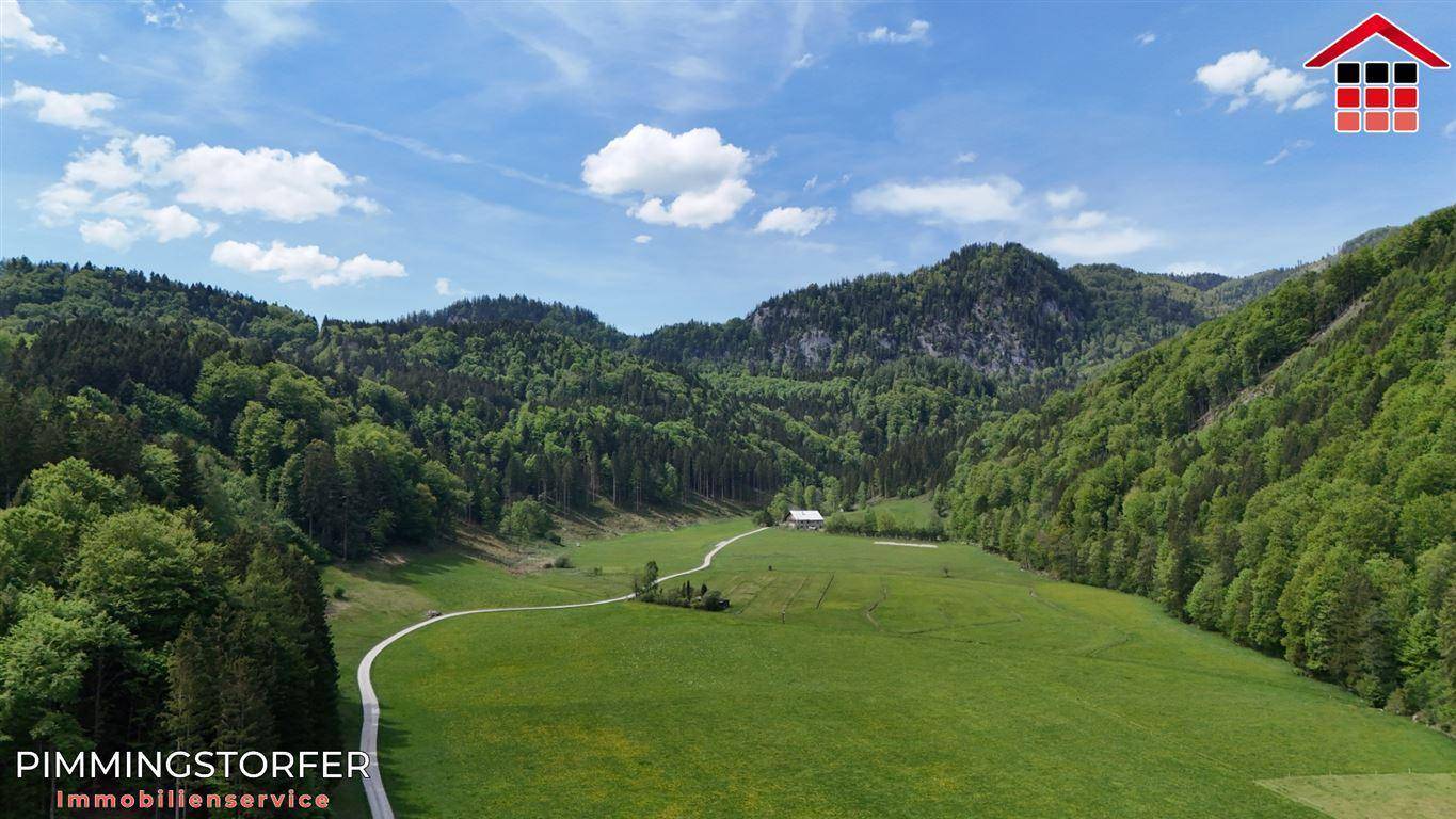 Panoramablick über eine grüne Tallandschaft mit bewaldeten Hügeln und einem abgelegenen Gebäude.