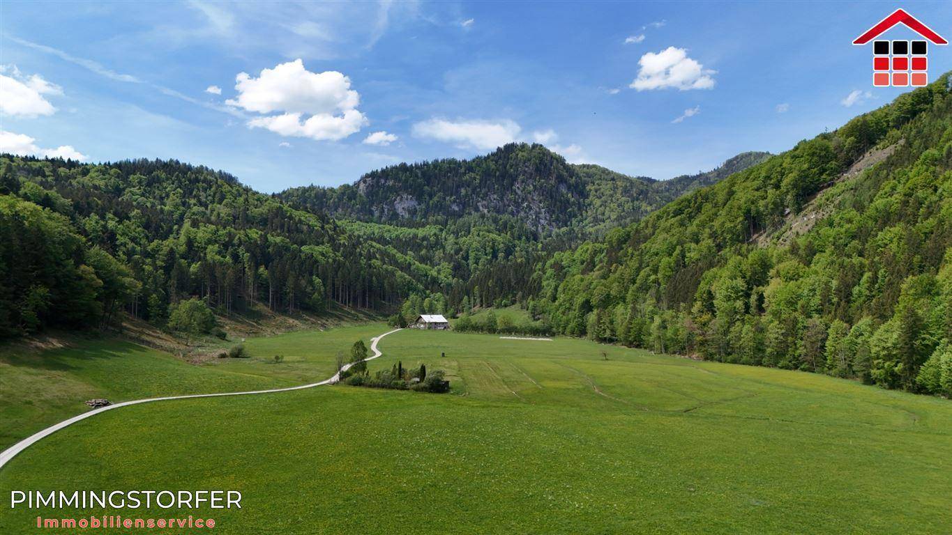 Weitläufige grüne Landschaft mit einem gewundenen Weg, umgeben von Wäldern und Bergen.